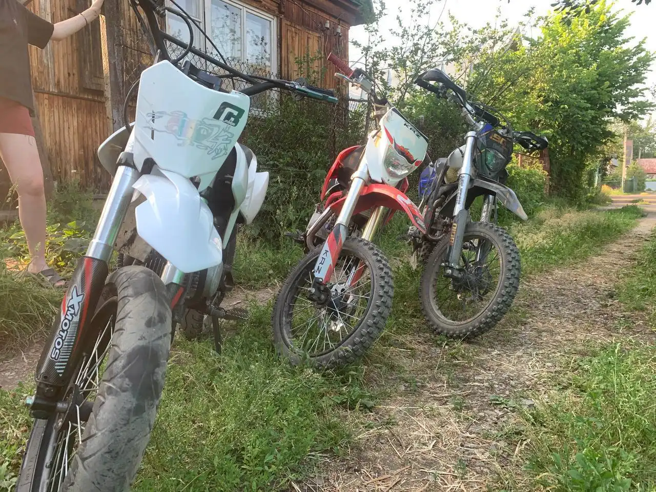 Питбайк Regulmoto Motard для станта - Для животных в Уфа