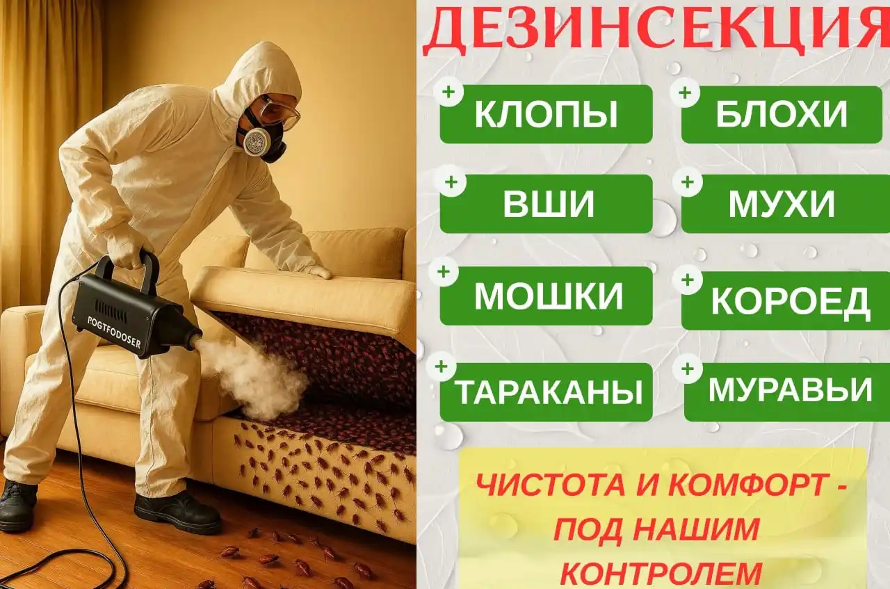 Услуги Дезинфекции