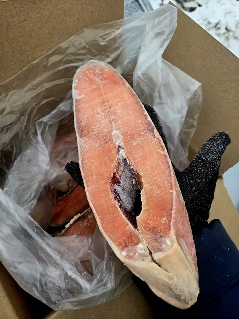 Стейки и рыба Кета оптом - Сумки и аксессуары в Тюмень