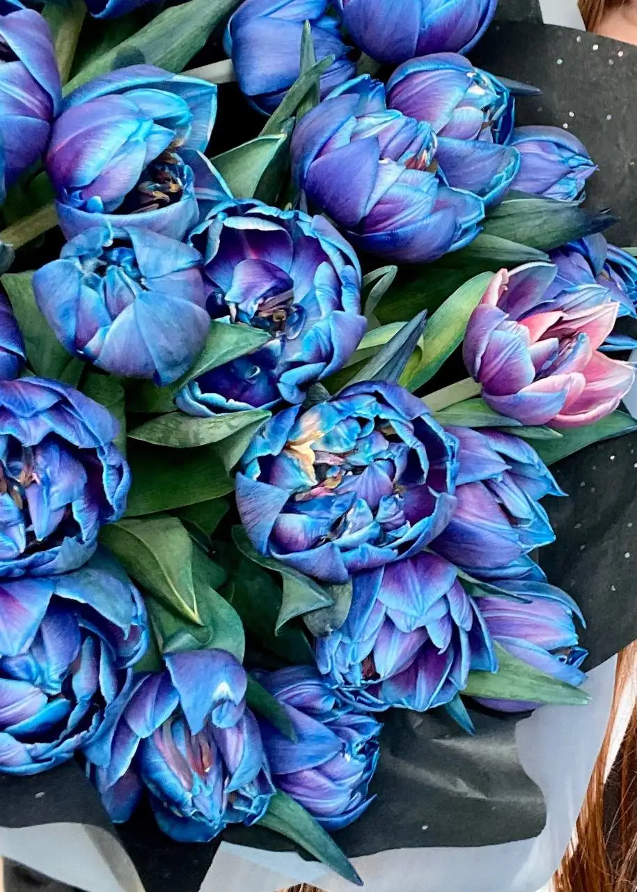 Пионовидные космические тюльпаны - Цветы (Хобби и отдых) в Тюмень