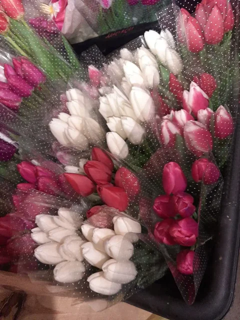 Сортовые тюльпаны для праздников - Спорттовары в Тюмень