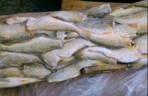 Навага дальневосточная без головы крупная - Электротранспорт в Тюмень