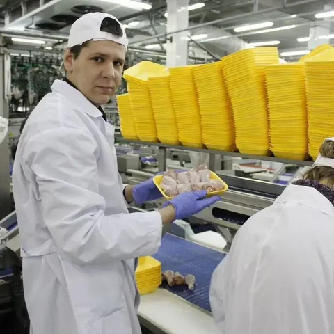 Работа на птицефабрике в Тюмени - частное объявление в Тюмень