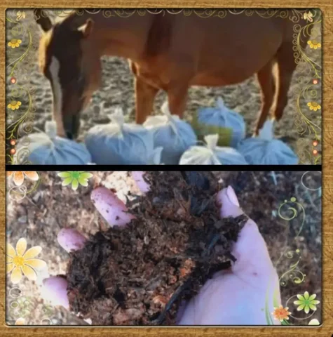 Продажа конского перегноя в Ембаево - Удобрения и грунты в Ембаево