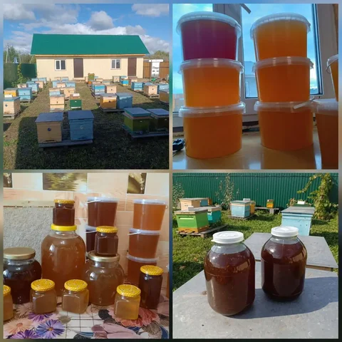 Продажа меда и продуктов пчеловодства - Кулинария/Выпечка в Тюмень