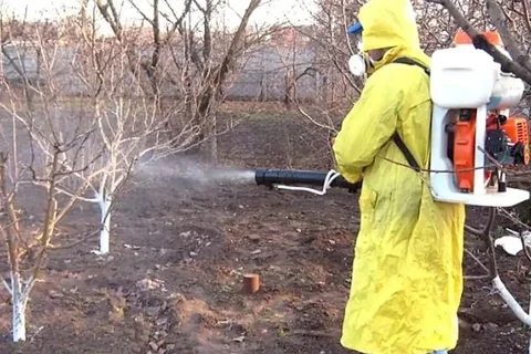 Обработка участка и деревьев от вредителей и клещей - Дизайн интерьера в Тюмень