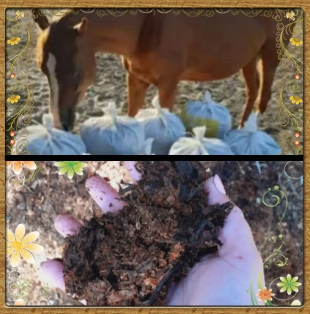 Конский перегной в Ембаево - Удобрения (Для дома и дачи) в Ембаево