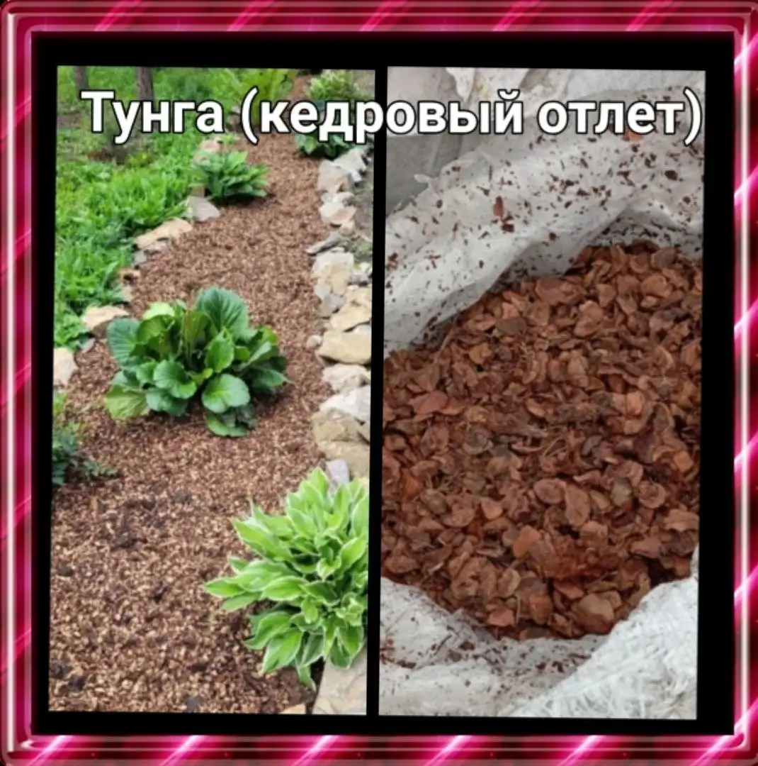 Мульча Тунга (кедровый отлет) 60л в мешках - Садоводство (Для дома и дачи) в Ембаево