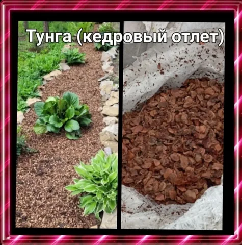 Мульча Тунга (кедровый отлет) 60л в мешках - Садоводство в Ембаево