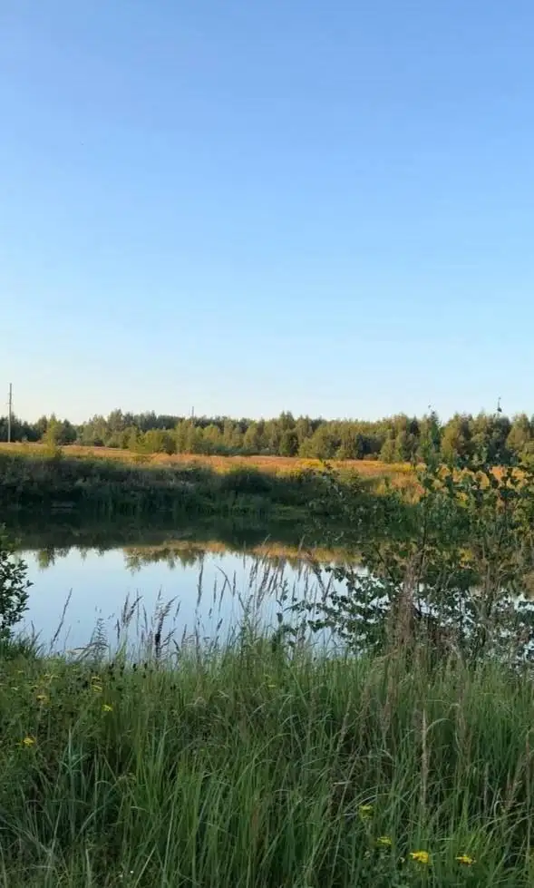 Земельные участки в Михейцево Владимирской области - Земельные участки (Недвижимость) в Михейцево