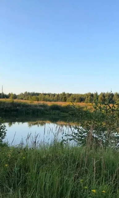 Земельные участки в Михейцево Владимирской области - частное объявление в Михейцево