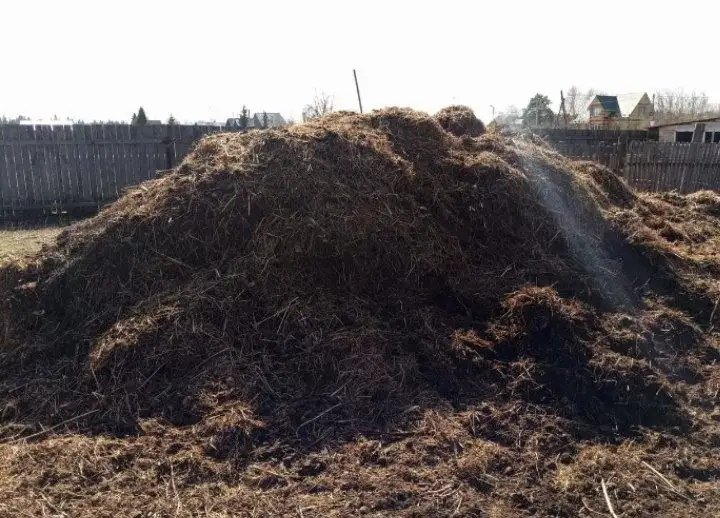 Конский навоз самонабором в Тюнёво - Барахолка в Тюмень