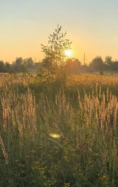 Продажа участка в Михейцево - частное объявление в Михейцево