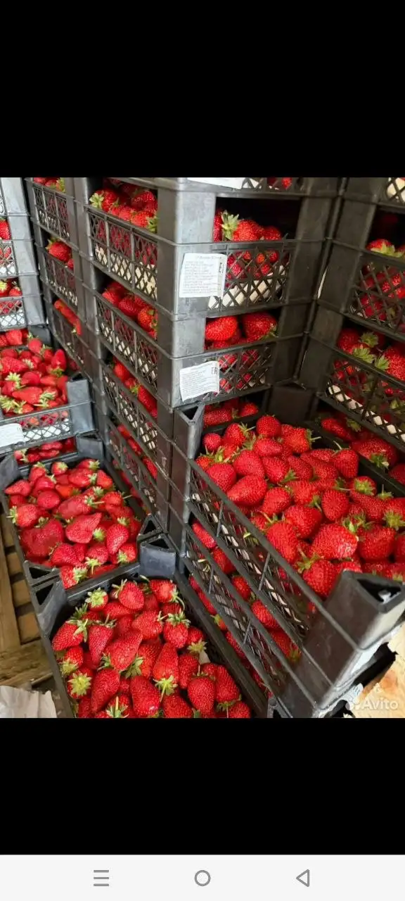 Клубника узбекская ящик 1000р - Фрукты (Продукты) в Тюмень