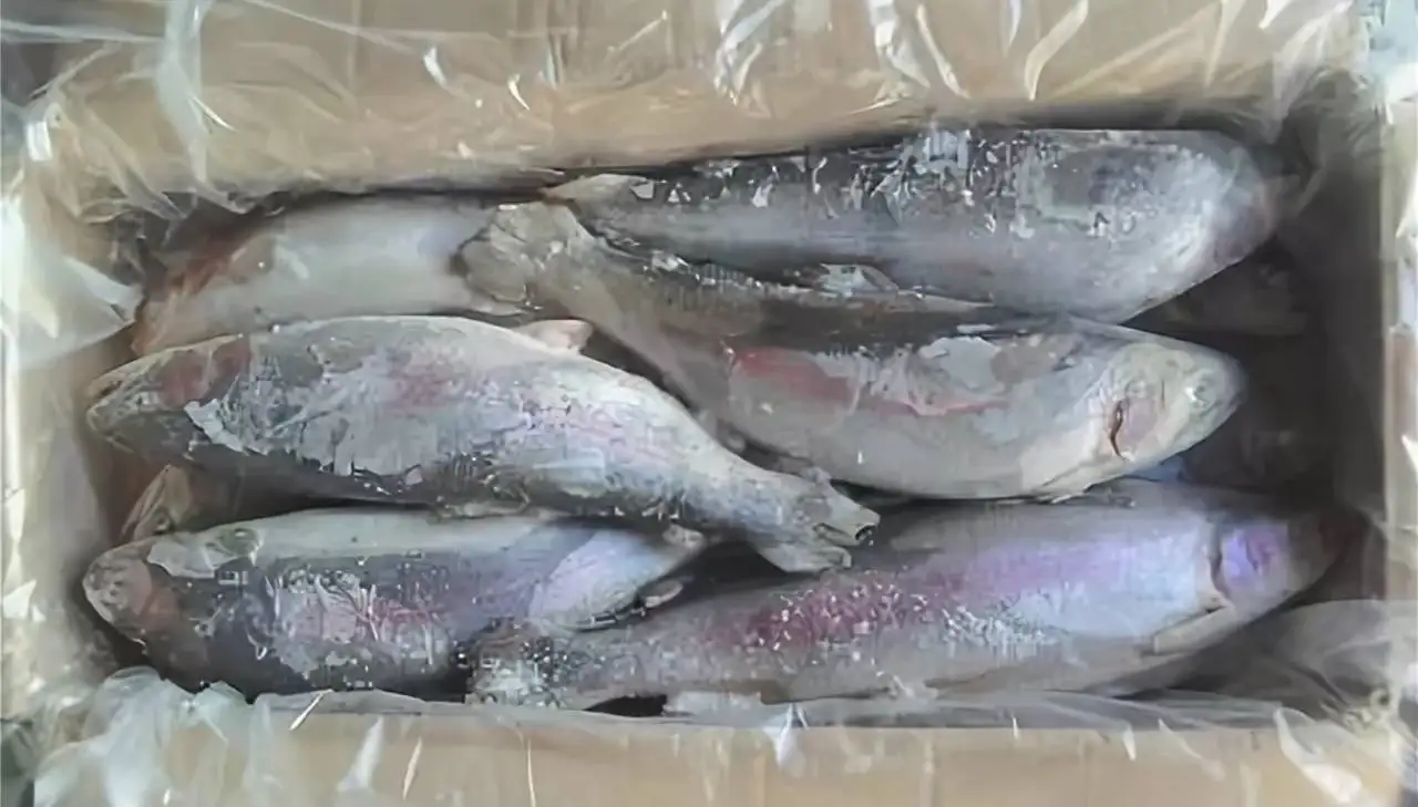 Толстолобик неразделанный - рыба и морепродукты (Продукты) в Тюмень