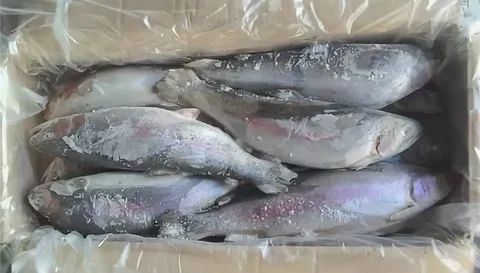Толстолобик неразделанный - Продукты в Тюмень