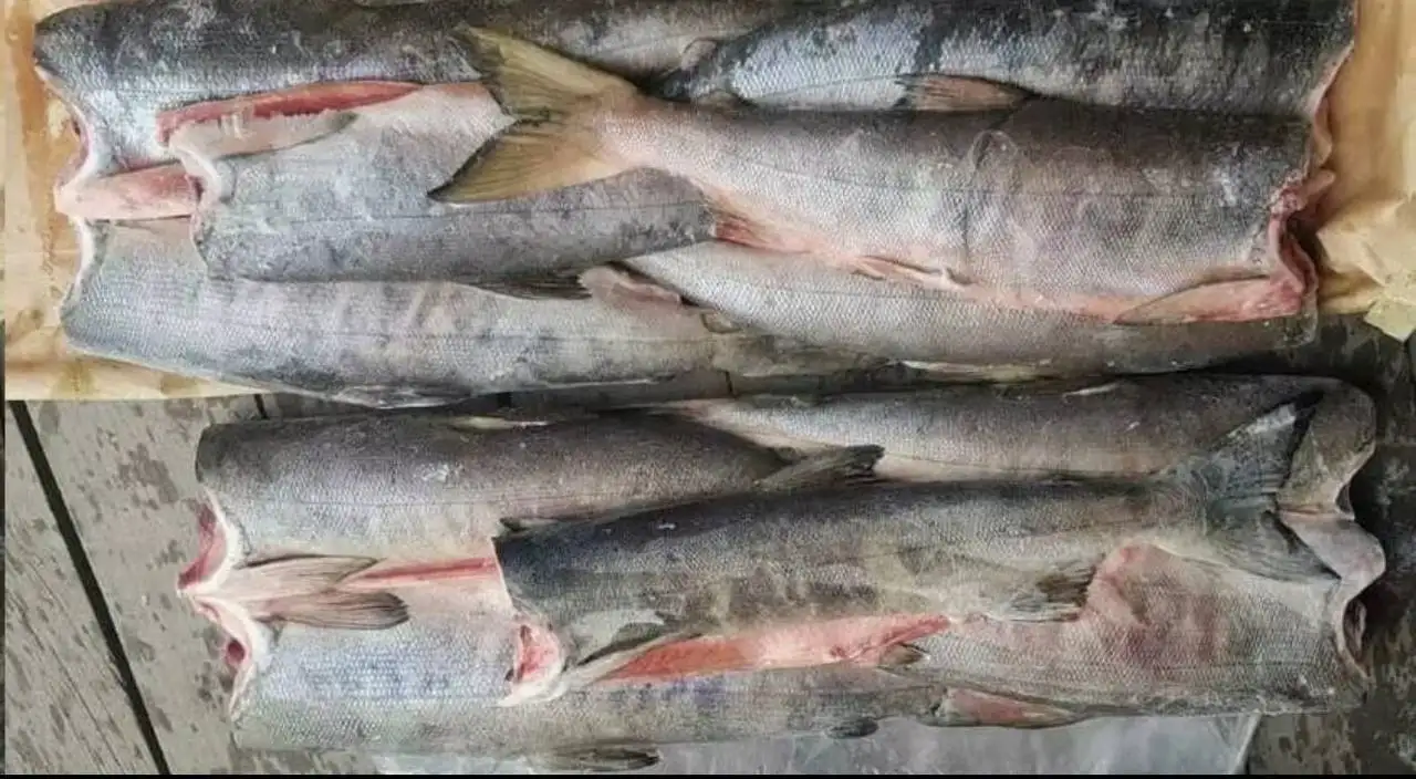 Кета дикий лосось потрошеная без головы - Рыба и морепродукты (Продукты) в Тюмень