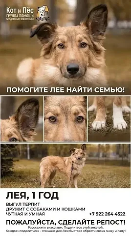 Спецпредложение - Барахолка в Тюмень