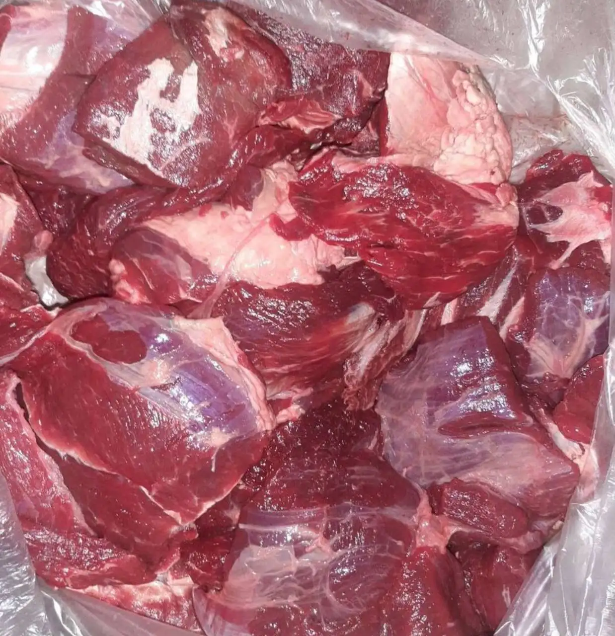 Продажа свежей телятины (котлетное мясо) - Мясо (Продукты) в Тюмень