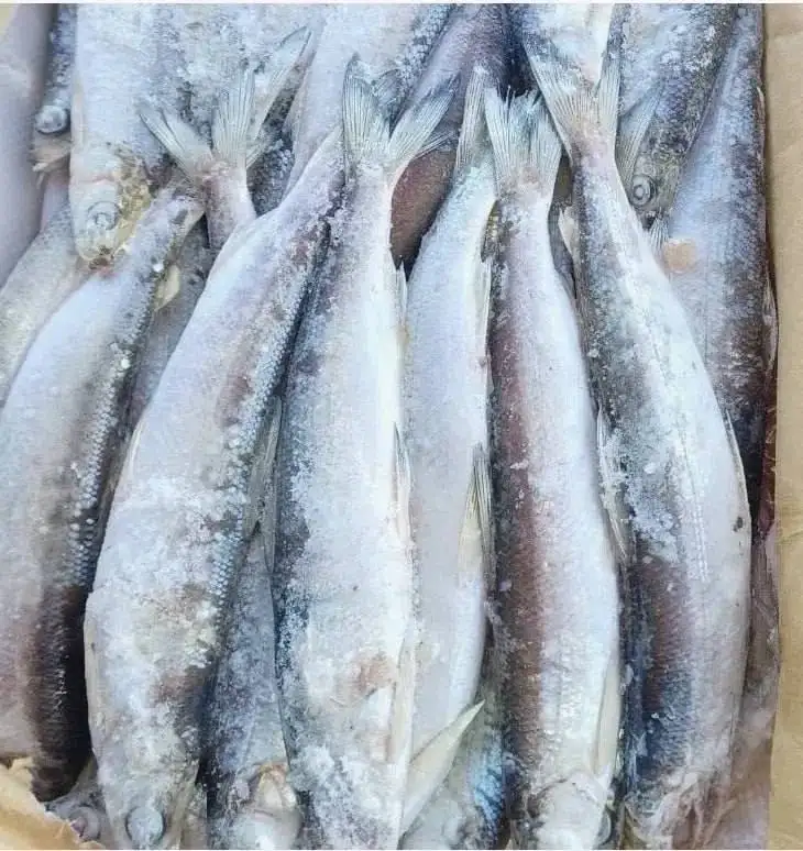 Ряпушка пластовая (Якутия), 10 кг - Продукты питания (Услуги) в Тюмень