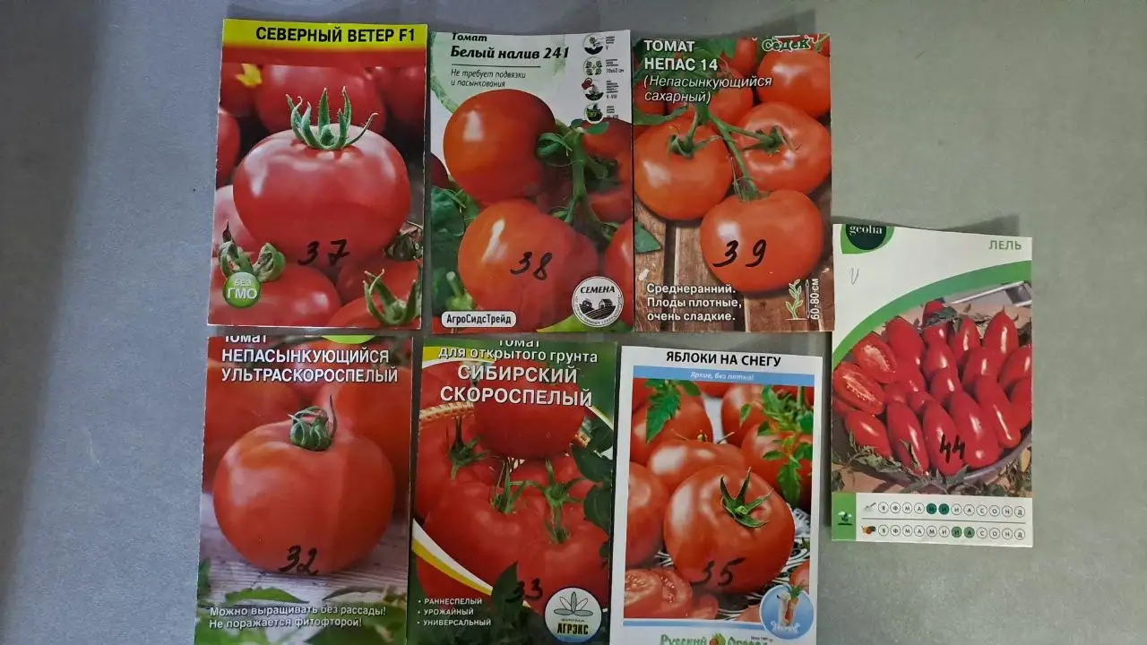 Рассада засолочных сортов - Хобби и отдых в Тюмень