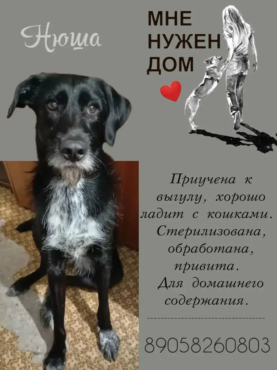Нюша - Животные в Тюмень