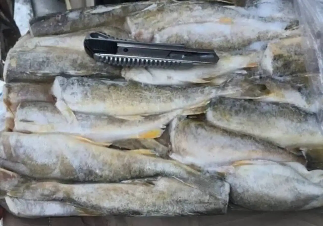 Навага дальневосточная без головы крупная 11 кг - Продукты питания (Услуги) в Тюмень