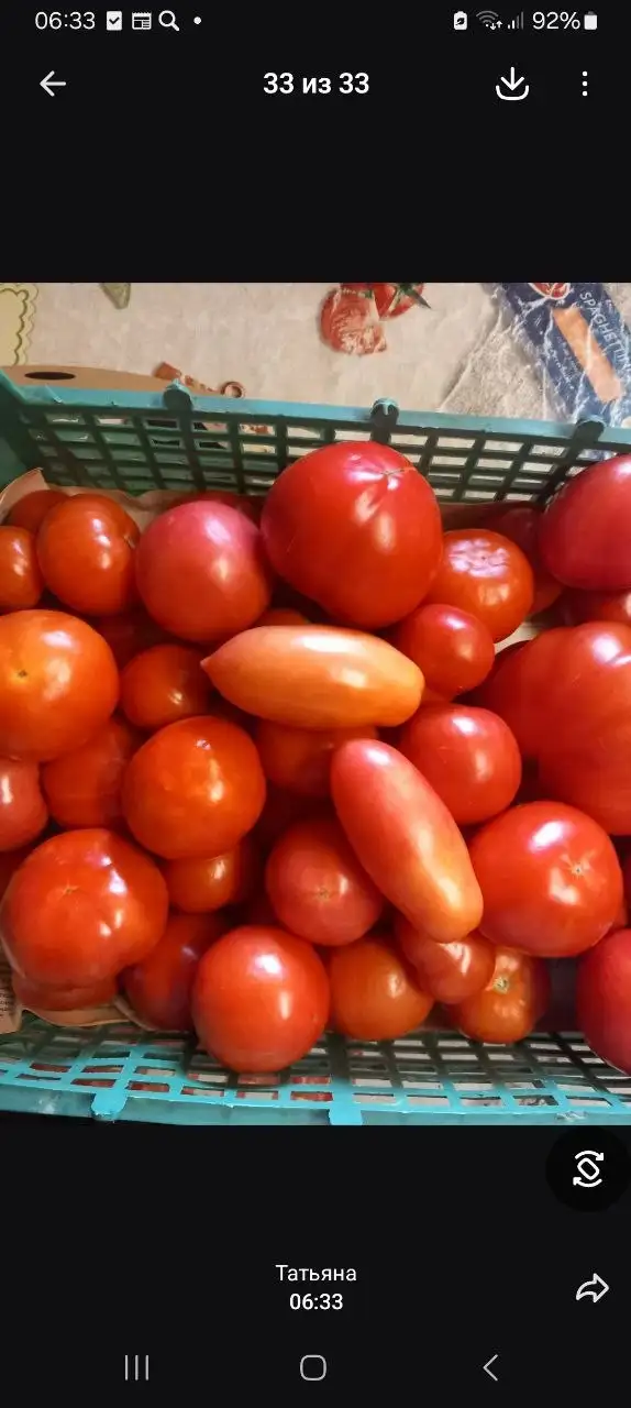 Продам свежие помидоры - Барахолка в Тюмень