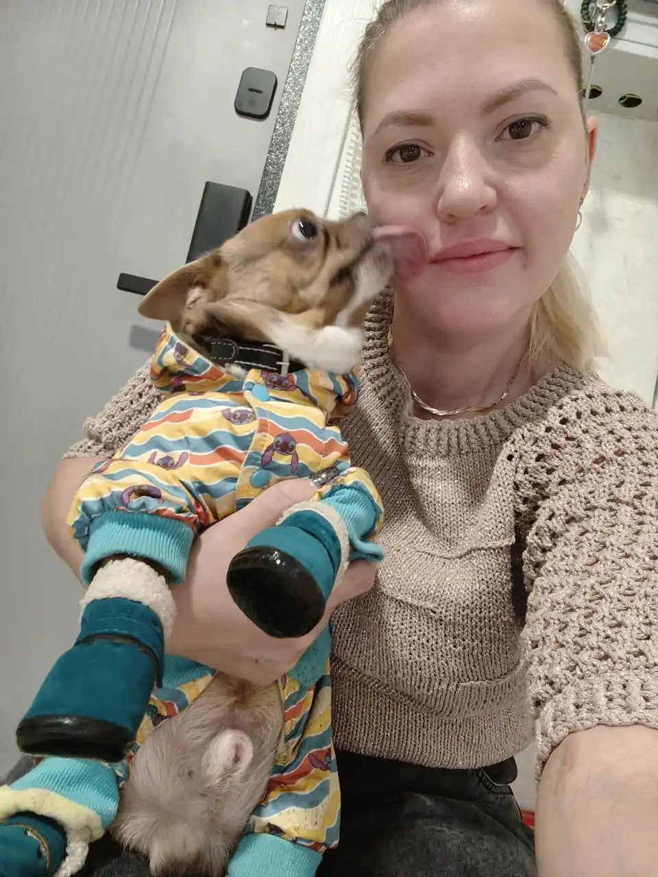 Мягкая обувь для маленьких собак