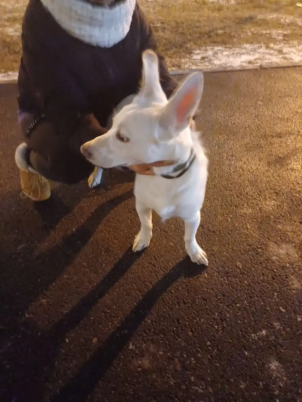 Квартира в Новоантипино возле Беловежской