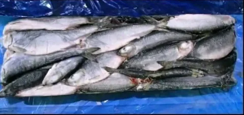 Свежее поступление сельди - Хобби и отдых в Тюмень