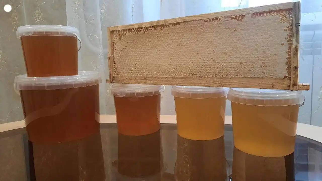 Мед от пчеловода с кочевой пасеки