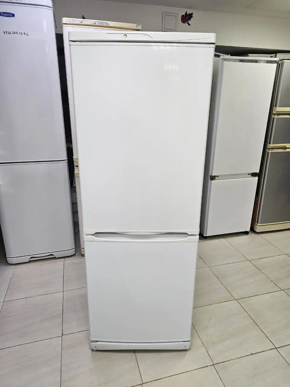 Холодильник Стинол высотой 165 см