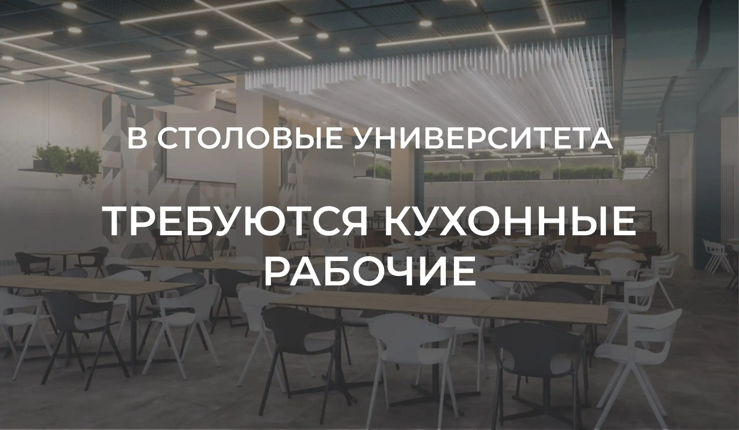 Требуются кухонные рабочие в столовые университета