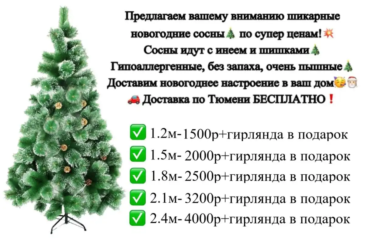 Новогодние сосны с инеем и шишками