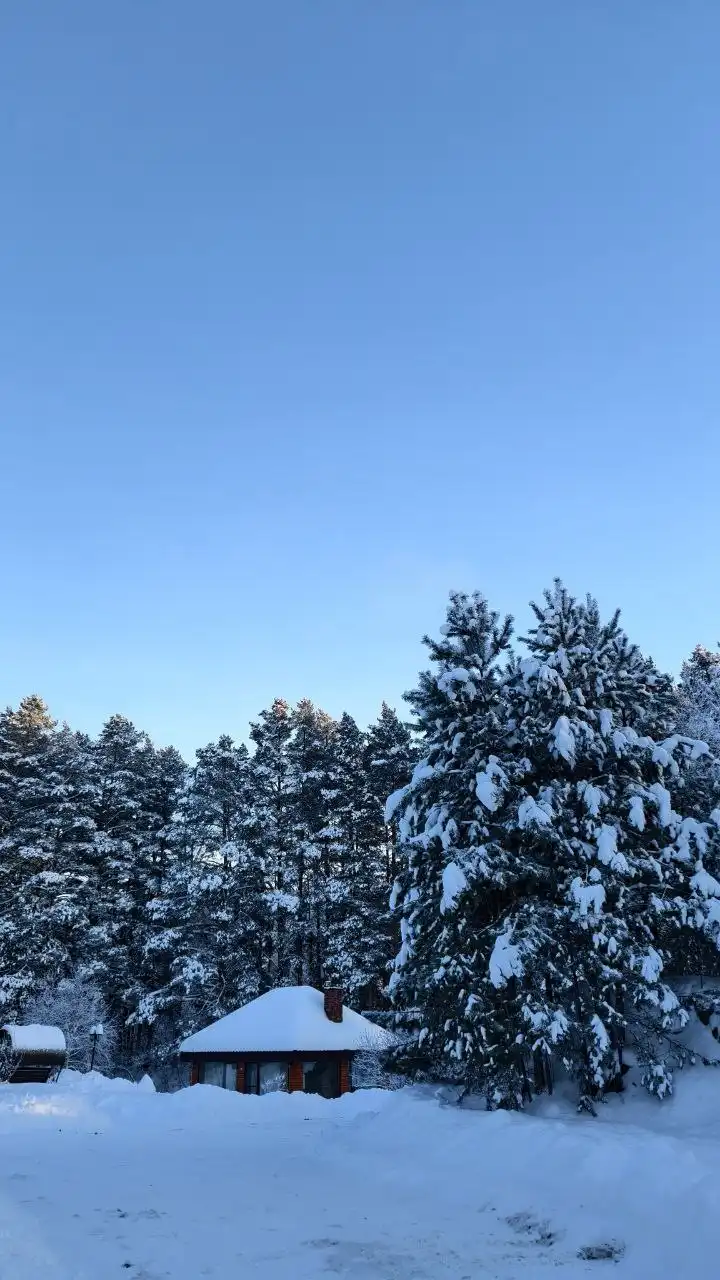 Аренда уединенного дома в зимнем лесу