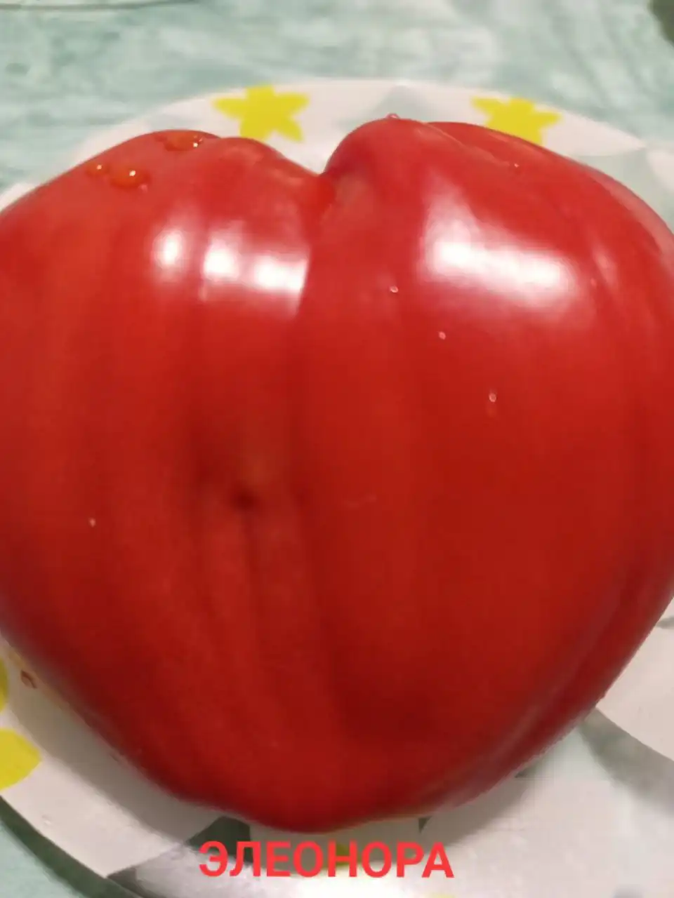 Семена коллекционных сортов томатов