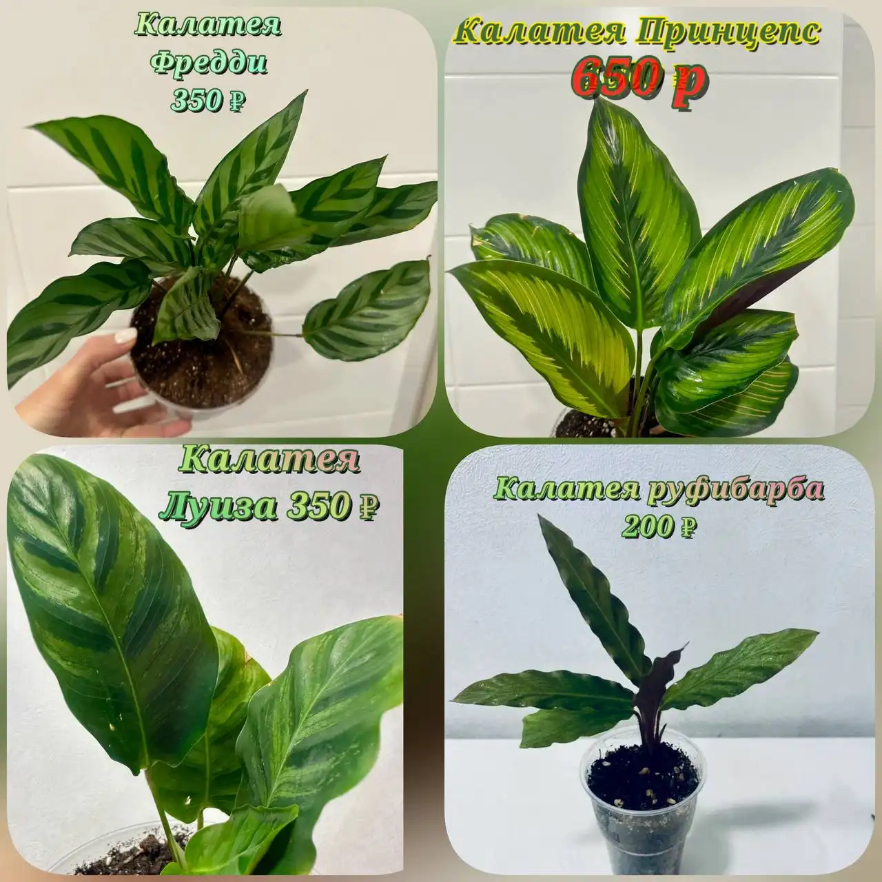 Продажа квартиры на Широтной - Квартиры (Недвижимость) в Тюмень