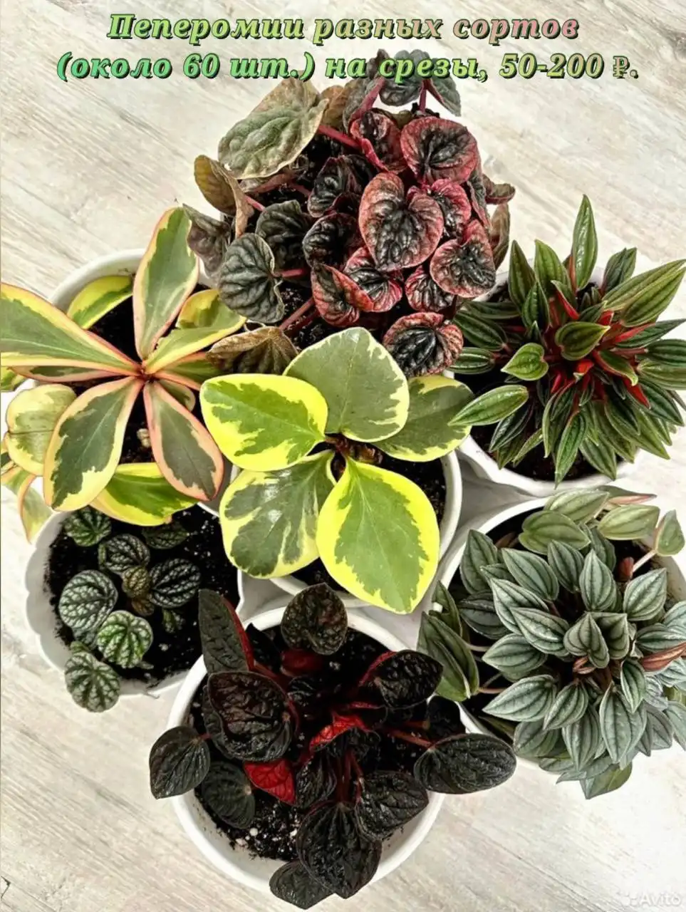 Продажа квартиры на Широтной - Квартиры (Недвижимость) в Тюмень