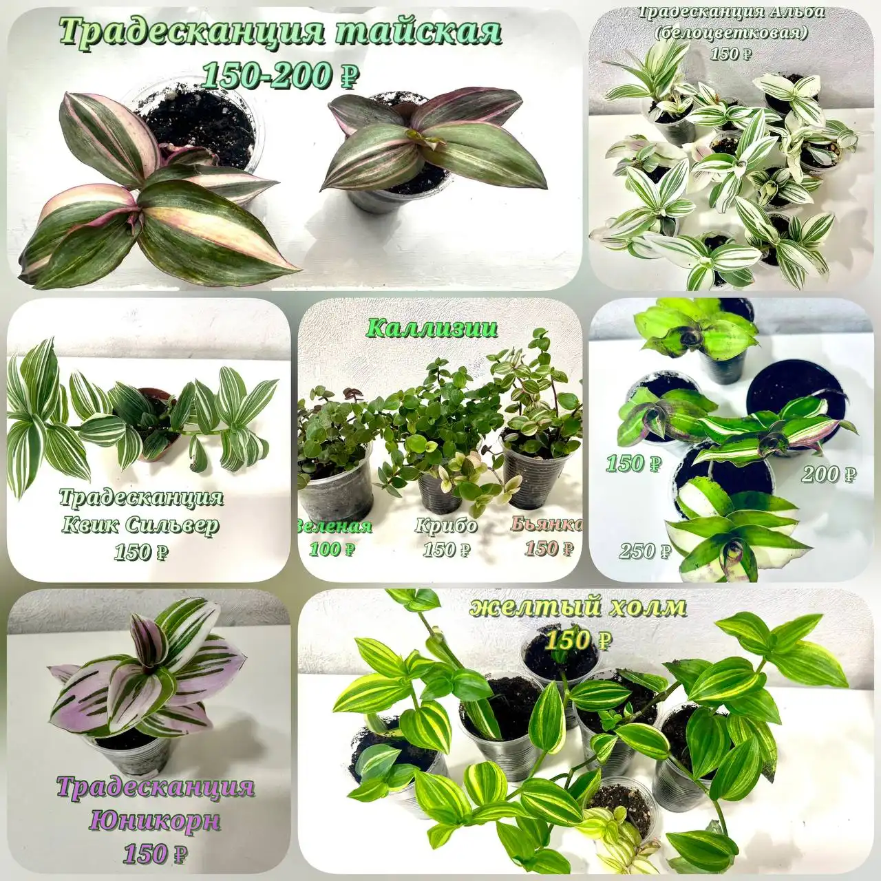 Продажа квартиры на Широтной - Квартиры (Недвижимость) в Тюмень