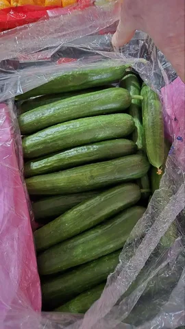 Оптовая партия огурцов в Ульяновске - Хозтовары в Ульяновск