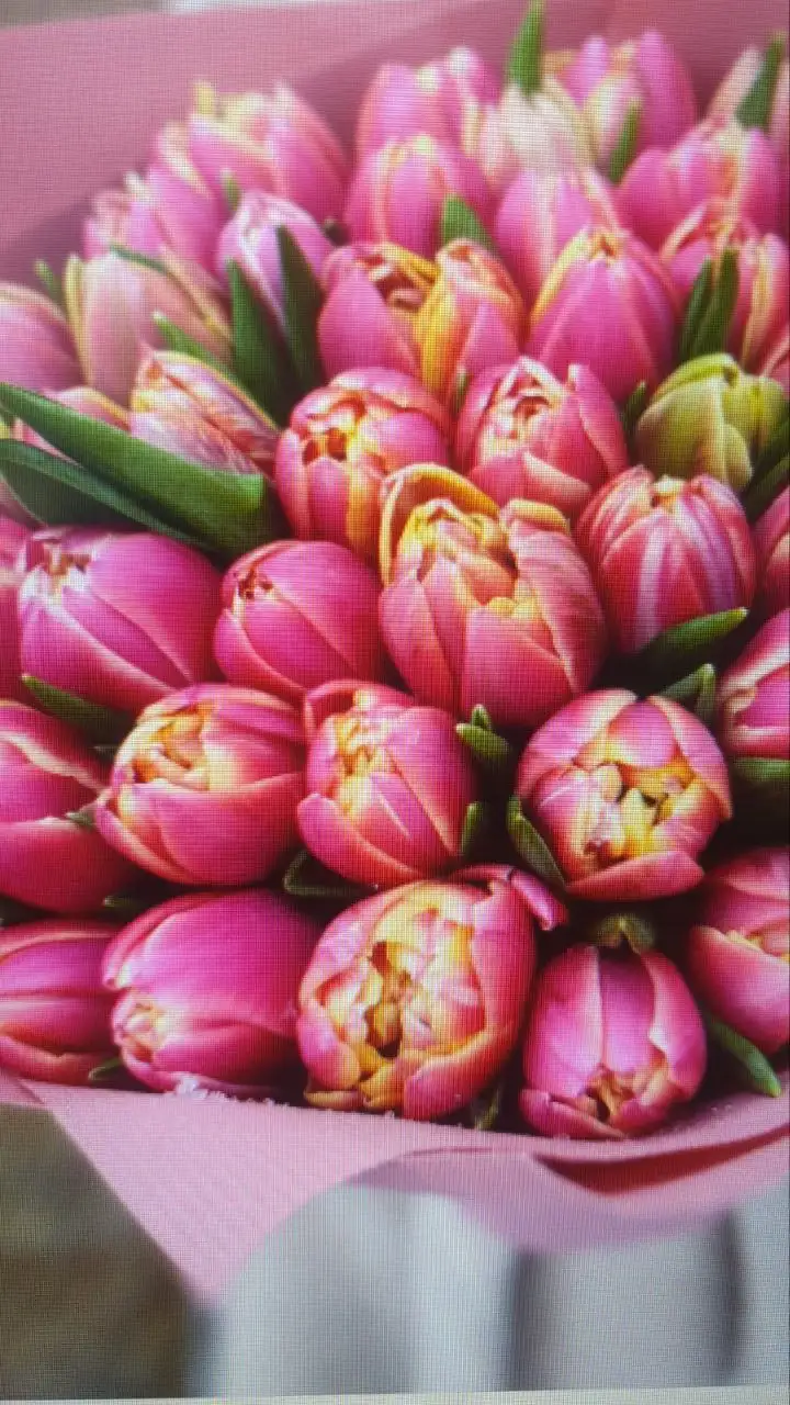 Оптовая продажа мимозы и тюльпанов к 8 Марта - Цветы (Хобби и отдых) в Ульяновск