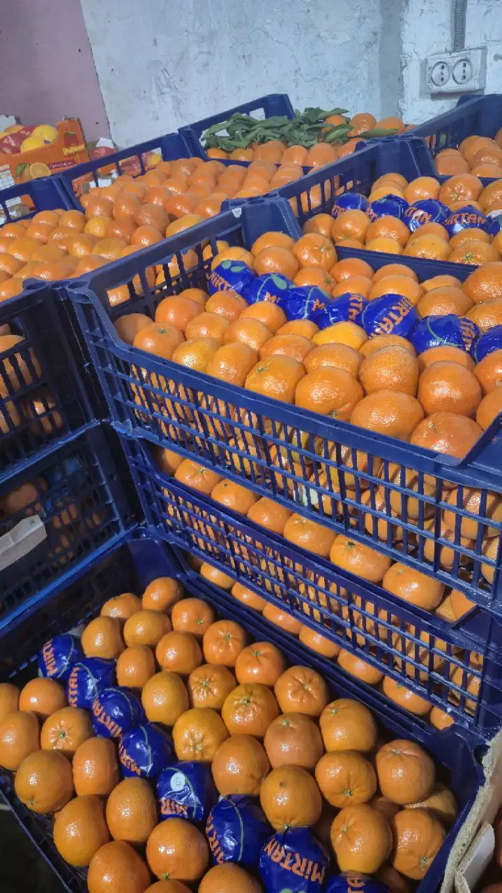 Мандарины оптом и в розницу в Ульяновске - Продукты питания (Барахолка) в Ульяновск