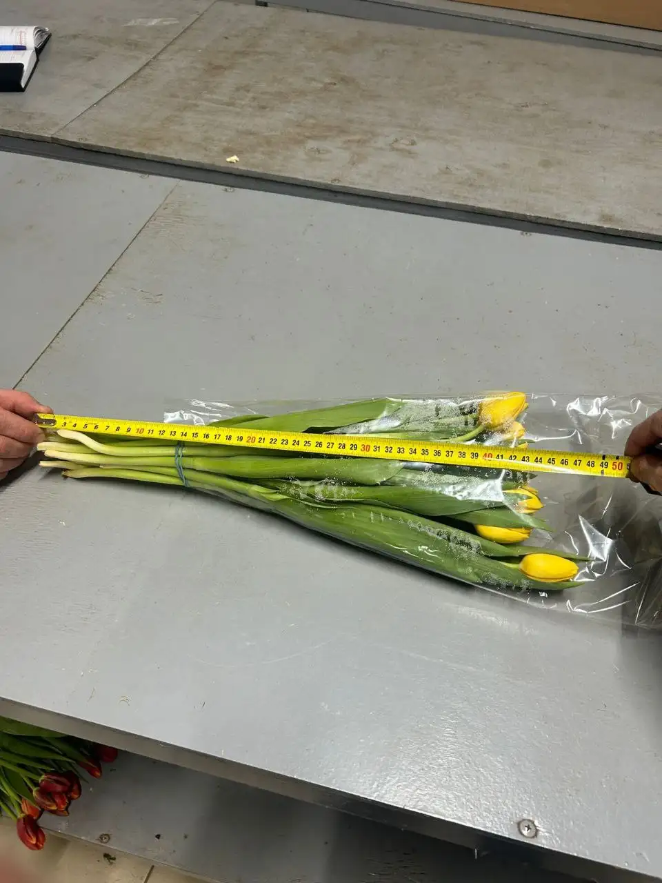 Ассортимент цветов для 8 марта с доставкой - Цветы (Хобби и отдых) в Ульяновск