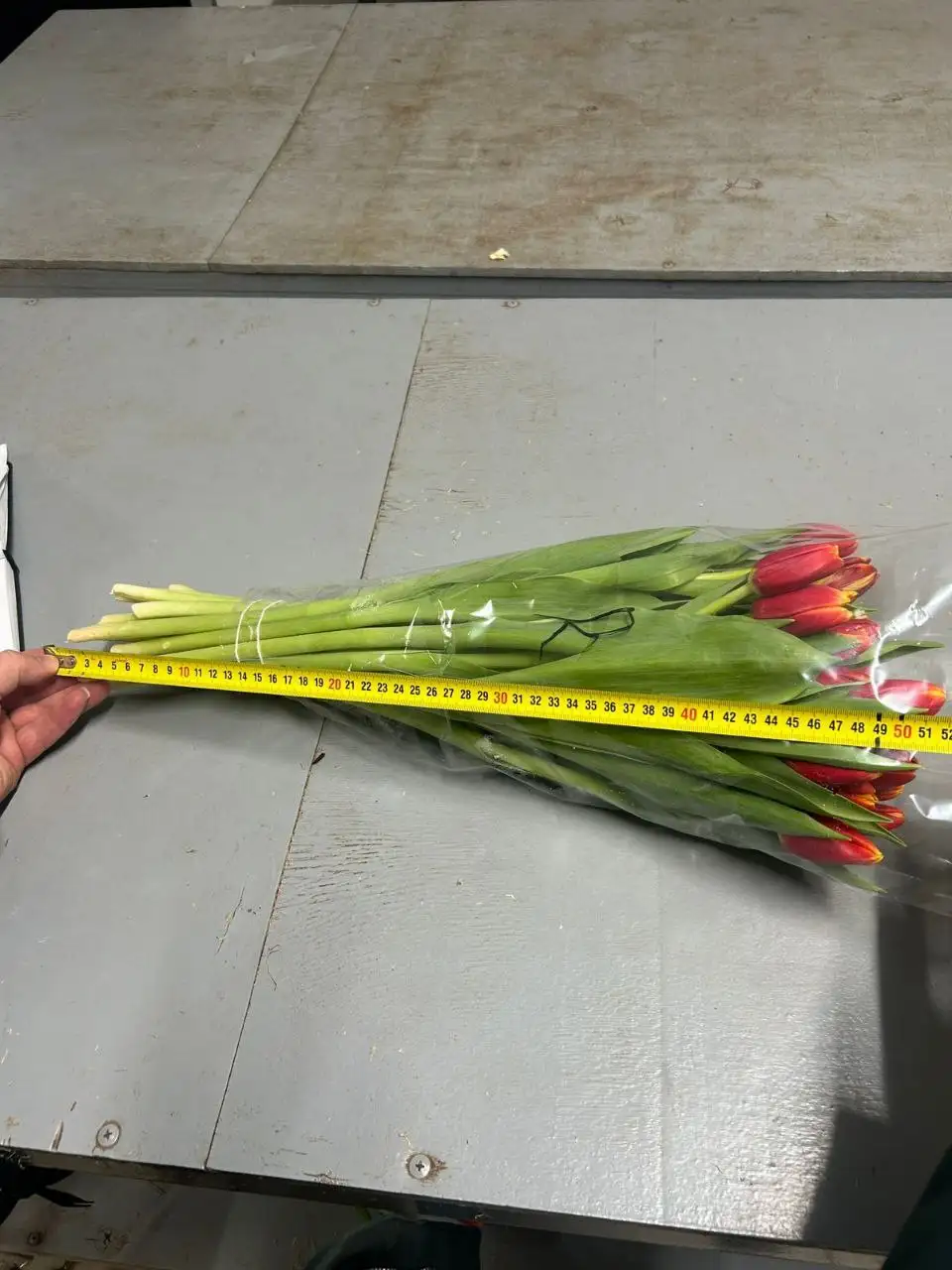 Ассортимент цветов для 8 марта с доставкой - Цветы (Хобби и отдых) в Ульяновск