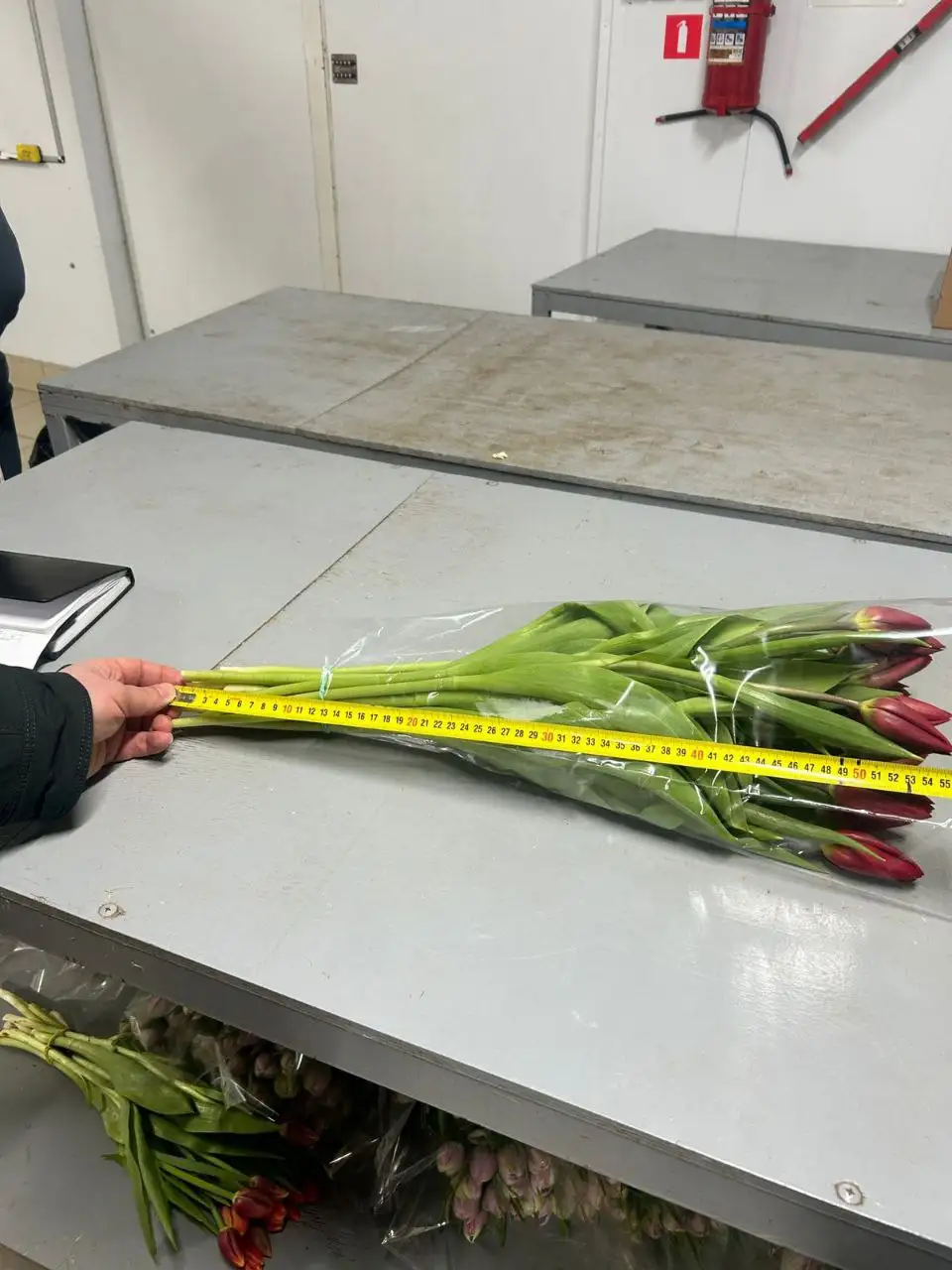 Ассортимент цветов для 8 марта с доставкой - Цветы (Хобби и отдых) в Ульяновск