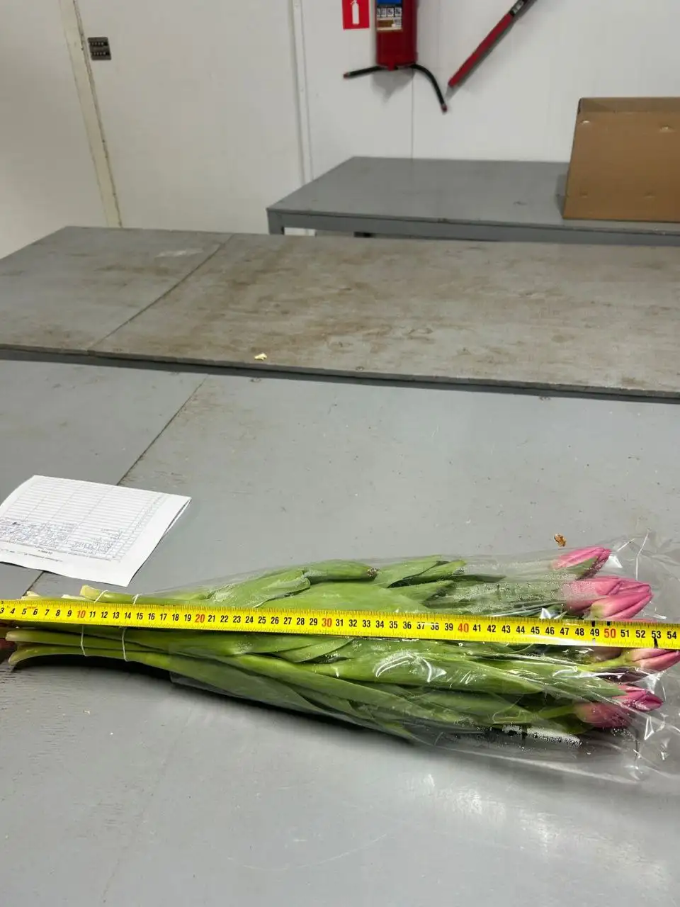 Ассортимент цветов для 8 марта с доставкой - Цветы (Хобби и отдых) в Ульяновск