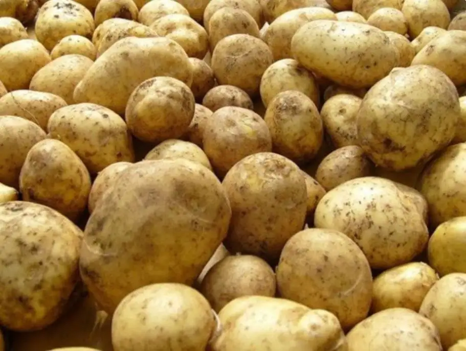 Картошка крупная 1 мешок - Продукты питания (Барахолка) в Ульяновск