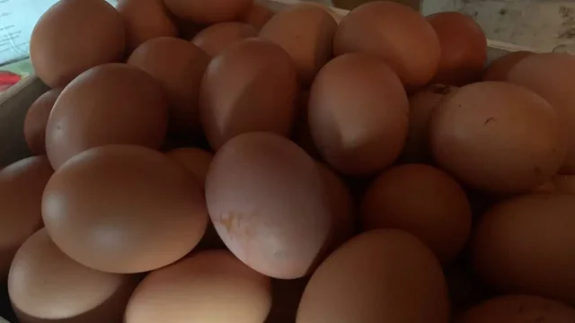 Продам яйцо - Часы в Ульяновск