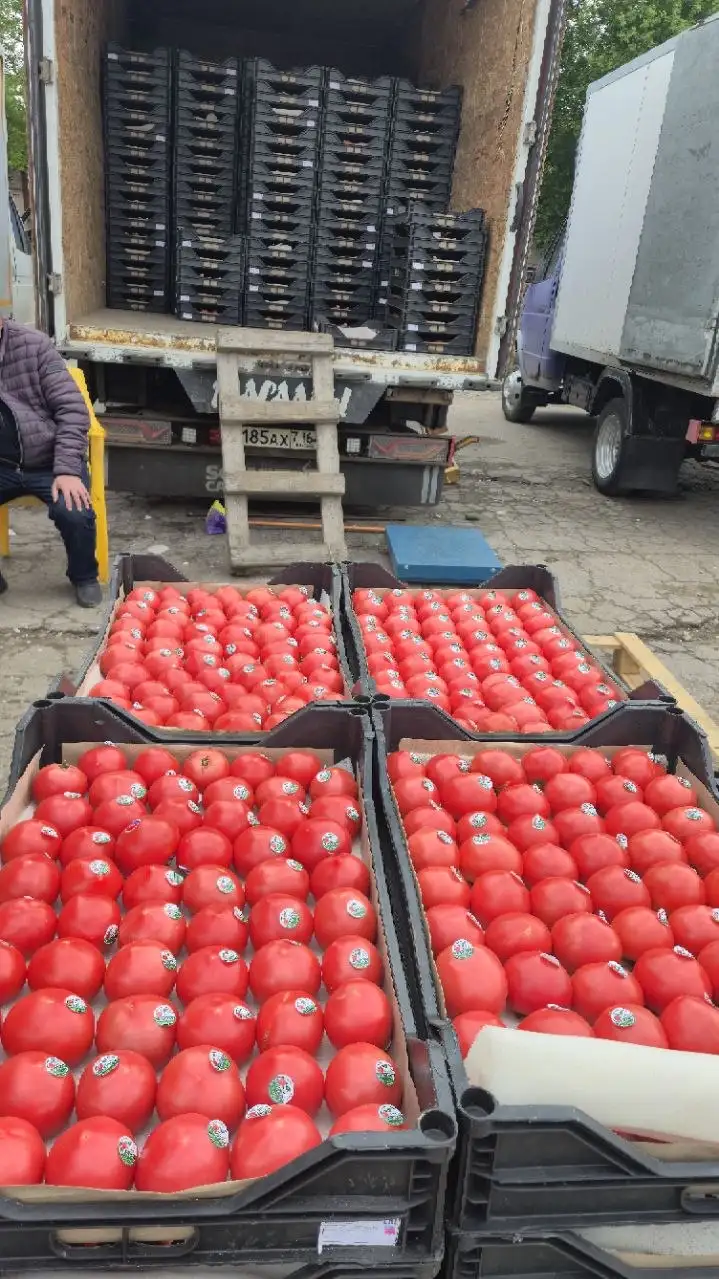 Помидоры Туркменистан и огурцы Дагестан по акции - Продукты (Барахолка) в Ульяновск